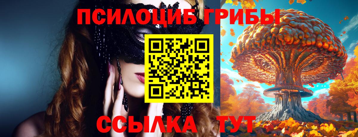 Магадан  Галлюциногенные грибы прущие грибы  Вход с VPN 
